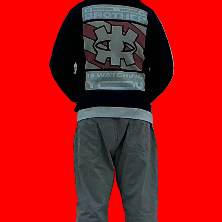 Big Brother Poster Jacket
